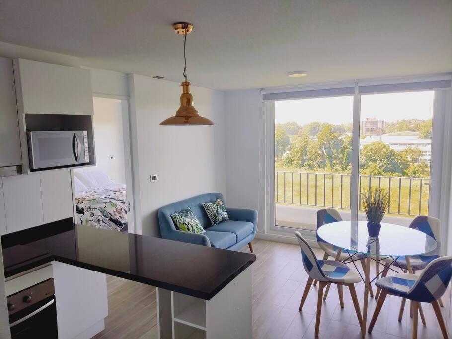 Апартаменти Departamento Vista Humedal - Isla Teja Вальдівія Екстер'єр фото